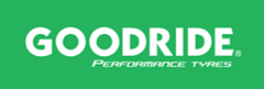Goodride 225 50 R16 96V SW608 XL 15262883