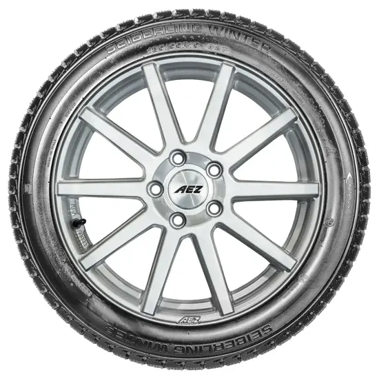 Seiberling 195 55 R15 85H Seiberling Winter MS 15296740