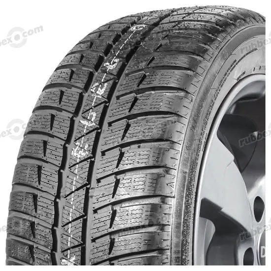 Falken 245 50 RF18 100H Eurowinter HS 449 RFT MFS 15286686