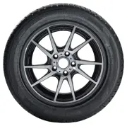 Tomket 225 55 R16 99H Snowroad Pro 3 XL 15233389