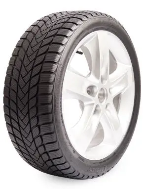 215/65 R16 98H Winter Lander