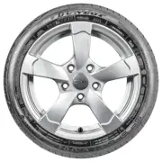 Dunlop 205 55 R16 91W SP Sport Maxx TT 15099209