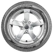 Sava 185 55 R14 80H Intensa HP 15263410