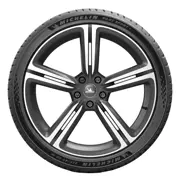 MICHELIN HL255 35 ZR21 101Y Pilot Sport 5 XL Acoustic RG 15353528