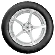 Continental 225 55 R17 97W PremiumContact 5 15196610