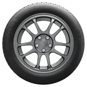 MICHELIN 255 55 R18 109V Latitude Alpin N1 XL 15077932