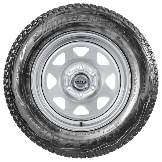 Bridgestone Blizzak DM-V1 225/55 R19 99R (Luxembourg)