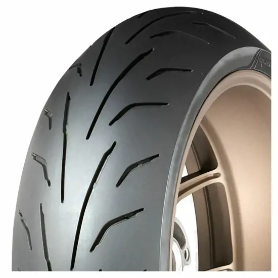 Dunlop 160 60 ZR17 69W Qualifier Core Rear M C 15353201