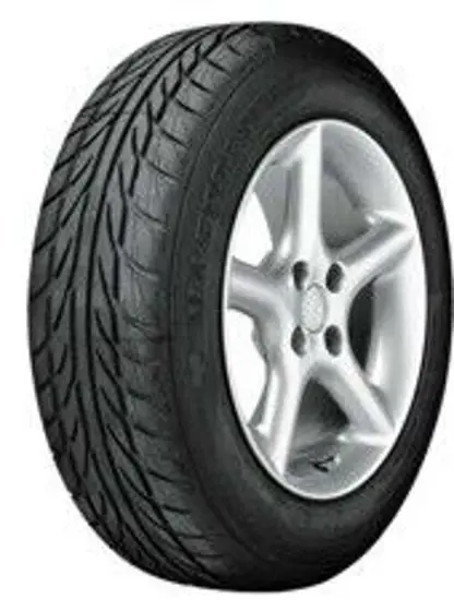 Mastersteel 205 55 ZR16 91W PROSPORT 15372342
