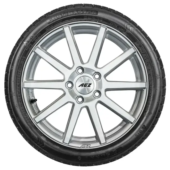 Sunny 195 65 R15 95T SN 3860 Winter Grip XL 15048454