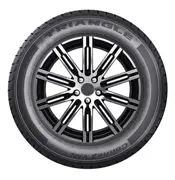 Triangle 185 R15C 103R 102R ConneX Van TV701 15330483