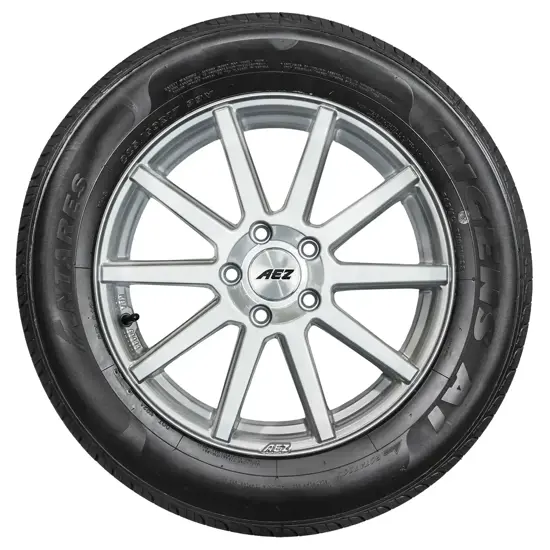 Antares 225 50 ZR17 98W Ingens A1 XL 15284692