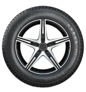 Tourador 215 60 R16 99H WinterPro TS1 XL 15420426