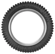 Dunlop 120 100 R18 68M Geomax TL01 Rear 15419703