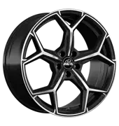 Antera A101 95 X 22 ET36 15413168
