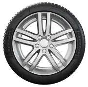 Dunlop 225 50 R18 99V Winter XL MFS EVR 15429404