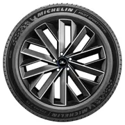 MICHELIN 245 45 R19 102Y Pilot Sport 5 Energy XL RG AC NRG 15441333