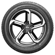 BFGoodrich 195 45 R16 84H Advantage All Season XL 15389534