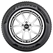 Cooper 225 35 R19 88W Cooper Winter XL FP EVR 15455554