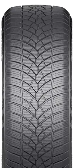 RoadX 225 60 R18 104V Frost Tempo XL 15453042